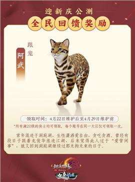 乾坤皇朝天龙八部私服